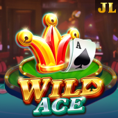 Wild Ace - Lucky Slot Hot Game